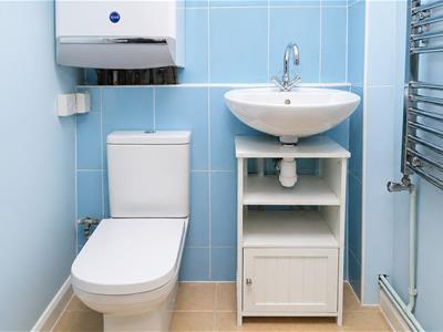 Picture 11